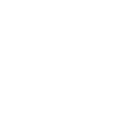 Fresh Daily Stock